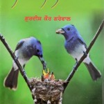 moh deean tandan- book title.resized